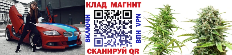 Какие есть наркотики Камызяк Псилоцибиновые грибы  МЕТАМФЕТАМИН  Каннабис  Кокаин  A-PVP  ГАШИШ 
