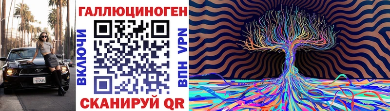 Псилоцибиновые грибы Psilocybe Камызяк