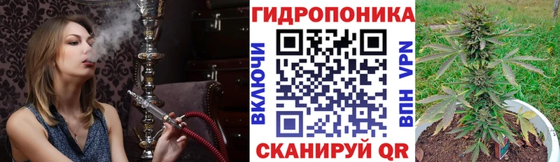 даркнет сайт  Камызяк  МАРИХУАНА семена 